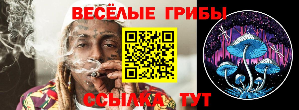 Псилоцибиновые грибы прущие грибы Шахты